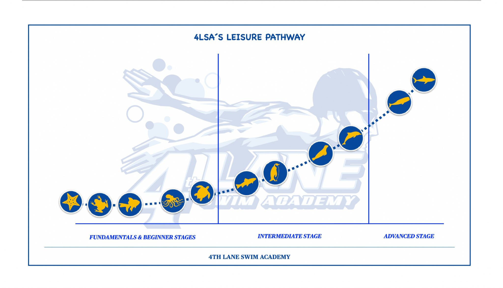 Swimming Club Abu Dhabi Learn Swimming in Abu Dhabi Swimming